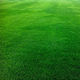Hortus Sementi Seeds Fescue Arundinacea mix 25kg