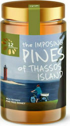 12 Στρέμματα Μέλι Πεύκου The Imposing Pines of Thassos Island 400gr