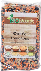 Βιοβλαστός Lentils Tricolored Organic 500gr