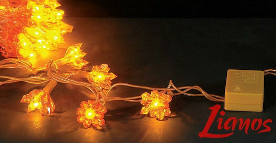 50 Lichter LED 9m. Warmes Weiß in Zeichenfolge 1Stück