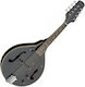 Stagg Electric Mandolin