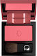 Diego Dalla Palma Fard de obraz Powder Blush 5gr