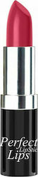 Isabelle Dupont Perfect Lipstick L245 4.2gr