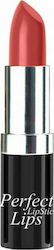 Isabelle Dupont Perfect Lipstick L256 4.2gr