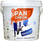 Tetralux Pan Chrom Plastic Acrilyc Paint for Exterior Use White 9lt