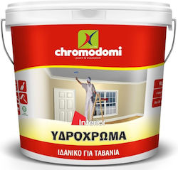 Χρωμοδομή Ceiling Plastic Hidrocolor pentru Utilizare Intern 750ml