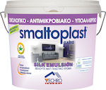 Vechro Smaltoplast Extra Silk Eco Plastic Vopsea Ecologic pentru Utilizare Intern 750ml