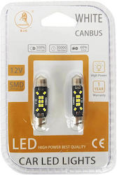 Auto Gs Lamps C5W LED 2pcs