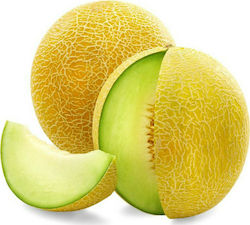 Syngenta Gharam Seeds Melon 1000pcs