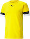 Puma Teamrise Jersey Aussehen Fußball