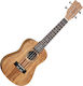 Tanglewood TWT 8 Концерт Юкалили