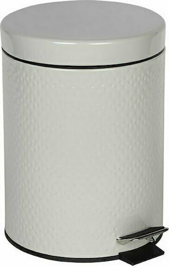 TnS Metallic Bathroom Basket 5lt Gray
