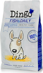 Dingonatura Dingo Fish & Daily Dingonatura Dingo Fish & Daily