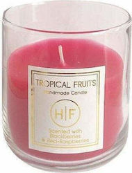 HF Tropical Fruits Αρωματικό σε Βάζο Βlackberries & Red-Rasberries