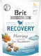 Brit Recovery Dog Treat with Fish 150gr