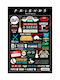 Pyramid International Αφίσα Friends Infographic 61x91.5cm