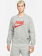 Sportswear Liverpool FC Sweatshirt Gray