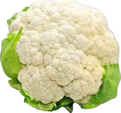 Cauliflower ALCALA F1 2500 seeds