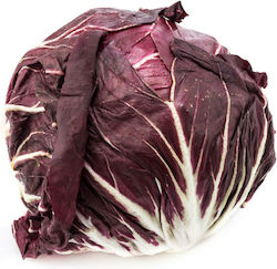 Radicchio Rosso RUBRO 10.000 pel