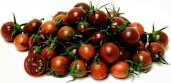 Tomato Plum TOP ZOHAR F1 100 seeds