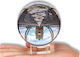 AccPro Lensball 80mm
