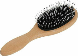Hair Brush Hair Brush