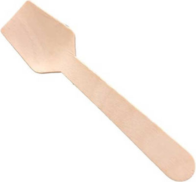 Spoon Disposable Wooden (100pcs)