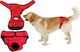 Pet Care XLarge