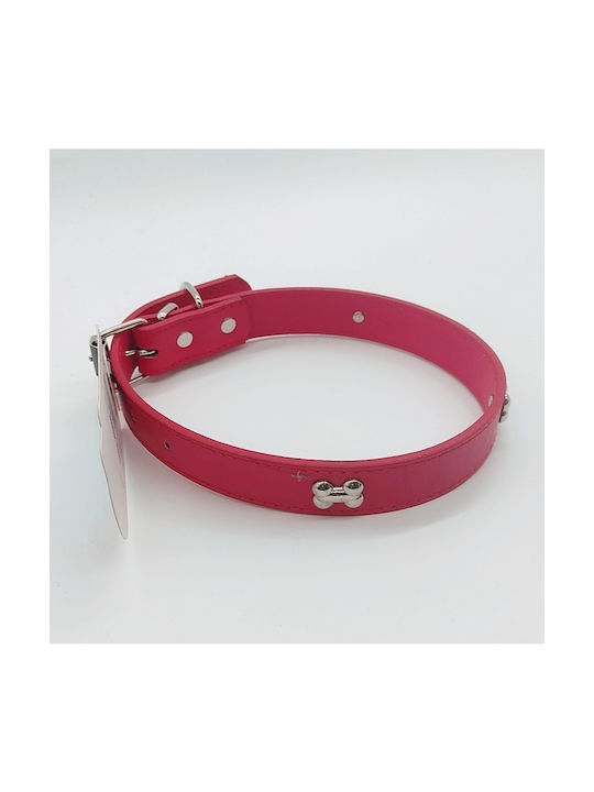 AGC Dog Collar in Red color 25mm x 52cm