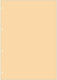 Contax A4 Replacement Pages Orange
