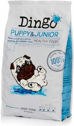 Dingonatura Dingo Puppy & Junior Dingonatura Dingo Puppy & Junior