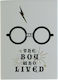 Half Moon Bay Harry Potter The Boy Who Lived Ορθογώνιο Μαγνητάκι Μεταλλικό 9x6.5εκ.