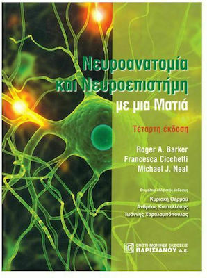 Νευροανατομία Νευροεπιστήμη Μια Ματιά