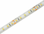 Avide ABLS24V2835-90WW65 Wasserdicht LED Streifen Versorgung 24V mit Warmes Weiß Licht Länge 5m und 90 LED pro Meter SMD2835