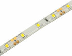 Avide ABLS12V2835-60NW65-7.2W Wasserdicht LED Streifen Versorgung 12V mit Natürliches Weiß Licht Länge 5m und 60 LED pro Meter SMD2835