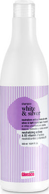 Glossco Professional White Shampoos Color Maintenance for Coloured Hair 500ml