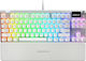 SteelSeries Apex 7 TKL Ghost Gaming Mechanical Keyboard with SteelSeries Red switches and RGB lighting (Greek) White