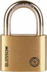 Blossom Steel Padlock Brass with Key 25mm 1pcs