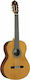 Alhambra Senorita 5P Classical Guitar 7/8 Natural