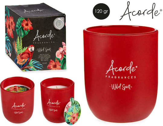 BigBuy Aromatic Candle In Jar With Wild Spirit Perfume 120gr