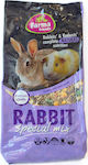 FARMA Rabbit Special Mix Treat with Fruits for Rabbit 800gr