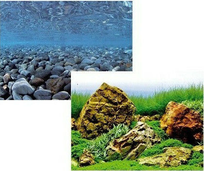 Amtra Wave Double Vision Aquarium Decoration Poster