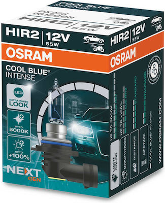 Osram Λάμπα Αυτοκινήτου & Μοτοσυκλέτας HIR2-9012 LED 5000K Ψυχρό Λευκό 12V 55W 1τμχ