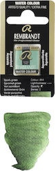 Royal Talens Rembrandt Watercolour Green