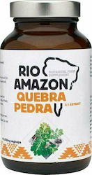 Rio Health Amazon Quebra Pedra 90 Pflanzliche Nahrungsergänzungsmittel