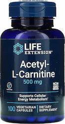Life Extension Ацетил-L-Карнитин 500мг 100 Растителни Капсули 60 Капсули Life Extension Ацетил-L-Карнитин 500мг 100 Растителни Капсули 60 Капсули