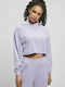 Cropped Women's Sweatshirt Velvet Hooded Purple
