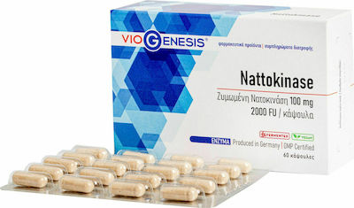 Viogenesis Nattokinase 100mg 60 caps