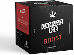 Bio Cannabis Matcha Tea Cannabice Boost 12 Bags 24gr