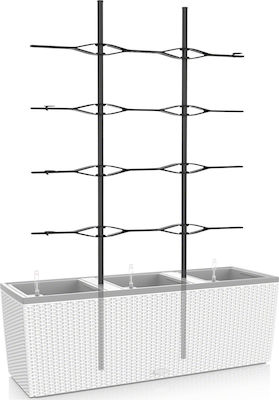 Lechuza Trio Cottage 40 Plant Support Stick 170cm 15031